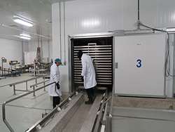 1463730592953679.jpg 加拿大凍干生產線項目現場-3.JPG